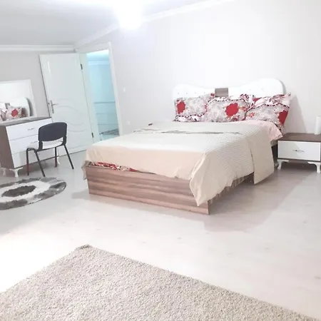 Appartement مفروشة Bursa